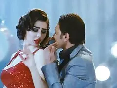 گربه مناقصه برای خروس سیاه زیباترین سکس سال
